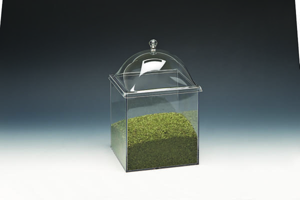 Akrilik Kapaklı Polycarbonat Kavonoz 20X20