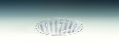 19 Cm Polycarbonat Pasta Altlığı